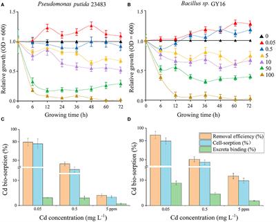 Microbial cell wall sorption and Fe–Mn binding in rhizosphere contribute to the obstruction of cadmium from soil to rice